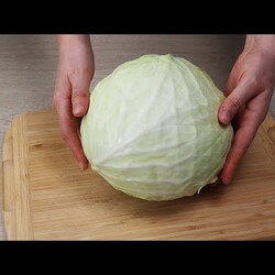 салаты из капусты капуста