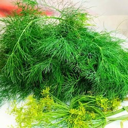 Как ХРАНИТЬ  ЗЕЛЕНЬ в холодильнике  СВЕЖЕЙ, ДОЛГО