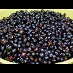 Смородина на зиму. 3 РЕЦЕПТА  для тех, у кого МАЛО времени и НЕТ САХАРА.