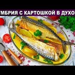 КАК ПРИГОТОВИТЬ СКУМБРИЮ С КАРТОШКОЙ ЗАПЕЧЕННУЮ В ДУХОВКЕ? Очень вкусная рыба на обед или ужин