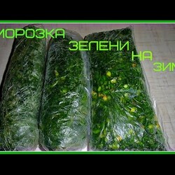 Простая заморозка зелени на зиму.Как заморозить зелень на зиму легко и просто.