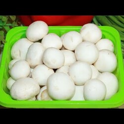 Это ЛЮБИМЫЙ салат с ШАМПИНЬОНАМИ, очень простой и вкусный  2