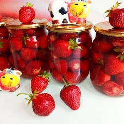 Свежая КЛУБНИКА летом и ЗИМОЙ !!!