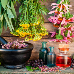 Тибетский сбор молодсти