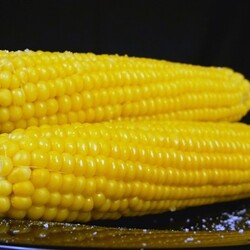 Молочная кукуруза