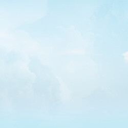 Рецепты японского бисквита: Кастелла, заварной, оригинальный хлопковый — пошаговое приготовление с фото, как сделать вкуснее