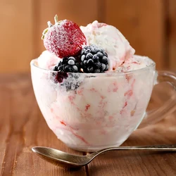 Как просто и без хлопот сделать домашнее мороженое: подробная инструкция — читать на Gastronom.ru