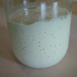 Закваска по Раймонду Калвелю за 2 суток