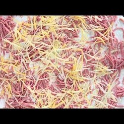 «Рулетики из лаваша — улетают со стола за 5 минут!» залитые сметаной с яй. в дух. колбаса сыр