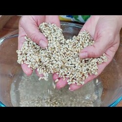 Удивительная ПЕРЛОВКА! Теперь кашу едят все, ещё и добавку просят!