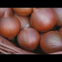 Как заморозить репчатый лук 2 минуты видео