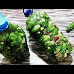 Самый Лёгкий и Надёжный Способ Засолки Огурцов На Зиму