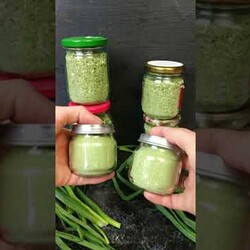 Обалденный способ заготовки зеленого лука на всю зиму!