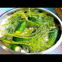 Почему раньше так не делал❓️1 сутки. Приготовьте малосольные огурцы таким способом и результат будет потрясающий.