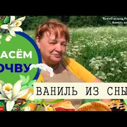 СПАСЁМ ПОЧВУ: Ваниль из Сныти