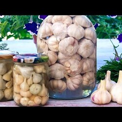 Солим и маринуем чеснок на зиму - 2 вкусных рецепта! 2 МЕСЯЦА