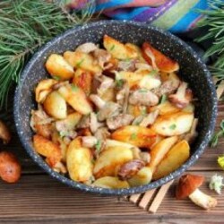 Как готовить грибы козлята: способы приготовить на зиму, вкусные рецепты