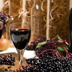 Домашнее вино из черемухи