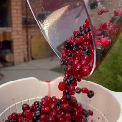 НАСТОЙКА из СЕВЕРНЫХ ЯГОД