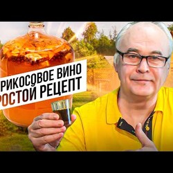 Абрикосовое вино. Вино из абрикосов - простой пошаговый рецепт. Apricot wine.