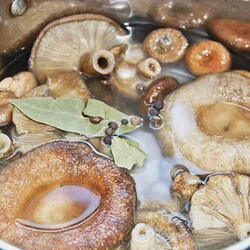 Засолка волнушек на зиму