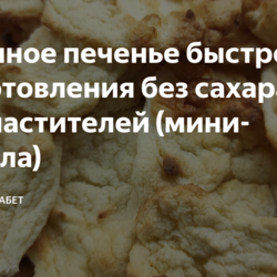 Яблочное печенье быстрого приготовления без сахара и подсластителей (мини-пастила)