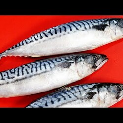 СКУМБРИЯ может удивить! Часть 2  ОЧЕНЬ ХОЧУ, чтобы вы попробовали эти 5 РЕЦЕПТОВ