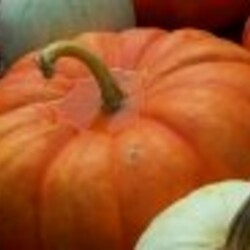 Квашеная тыква - рецепт с фото на Повар.ру