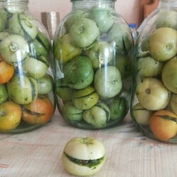 Очень вкусные зеленые маринованные помидоры на зиму и быстрого приготовления