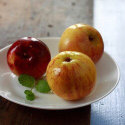 Моченые яблоки с корицей, чабрецом и мятой