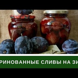 2,2 Маринованные Сливы