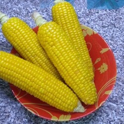 Кукуруза в микроволновке