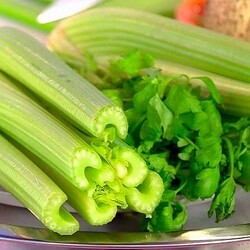 Як заготовити різні види селери на зиму: кращі способи та перевірені рецепти