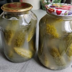 Квашені огірки на зиму "Три дні". Рецепт хрустких і смачних огірків. •