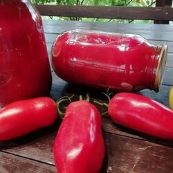 Помидоры в томатном соке по-итальянски. Пошаговый рецепт заготовки на зиму с фото