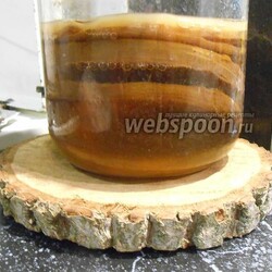 Чайный гриб