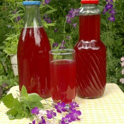 Как приготовить Свекольный квас