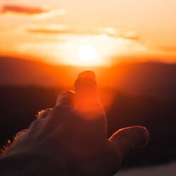 рецепт сухой засолки сельди