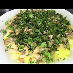 Видео -  грибы вешенки. Самые вкусные грибы!