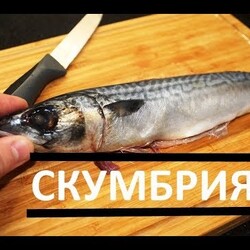 Видео - КАК ВКУСНО ПОЖАРИТЬ СКУМБРИЮ #РЕЦЕПТ