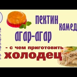 Холодец и желе по-новому. Современные гелеобразователи - агар-агар, пектин, хитозан и др. Обзор.