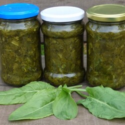 Щавель на зиму