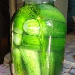 Быстрые малосольные огурцы в банке