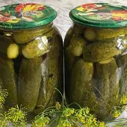 Солёные огурцы