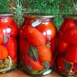 Пoмидopы "Вoлшeбныe"