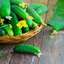 Солёные огурцы