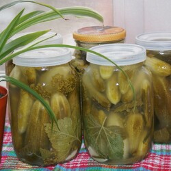 Холодный способ засолки огурцов на зиму.