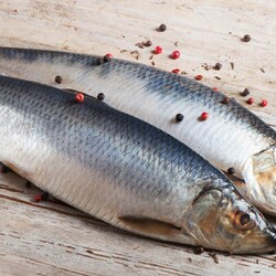 Сельдь пряного посола по ГОСТу