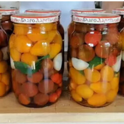 Медовые помидоры на зиму