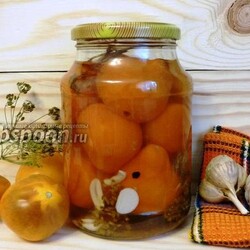 Помидоры консервированные в микроволновой печи